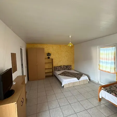 Rodix Gazde/Camere de închiriat *