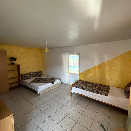 Gazde/Camere de închiriat Rodix *